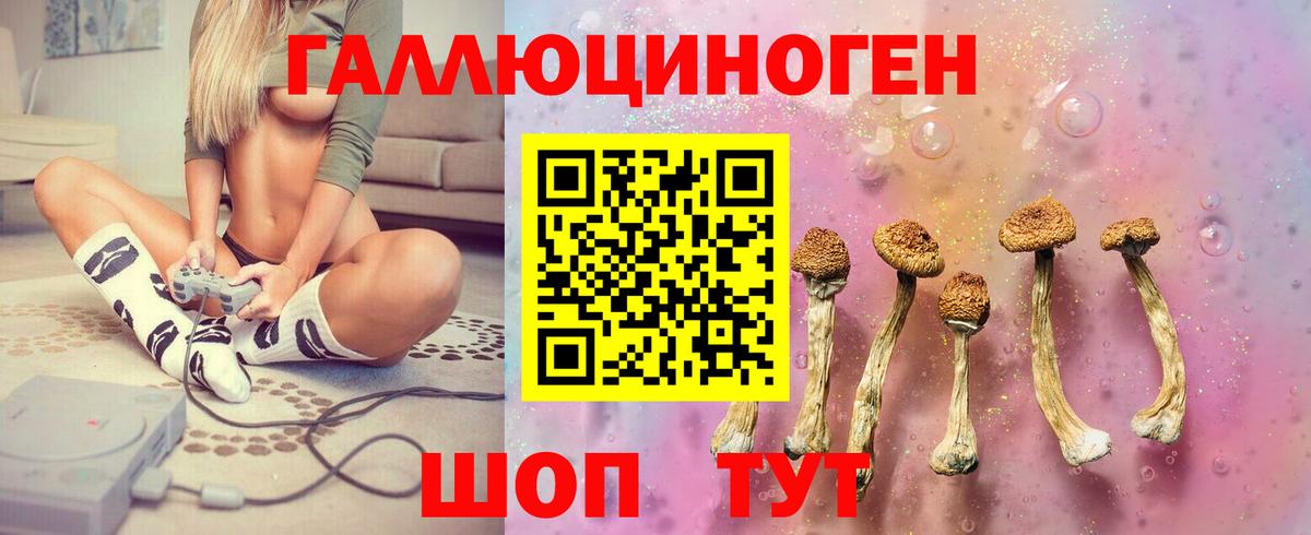 Вичуга  Галлюциногенные грибы GOLDEN TEACHER  Галлюциногенные грибы Psilocybine cubensis  Вход с VPN 